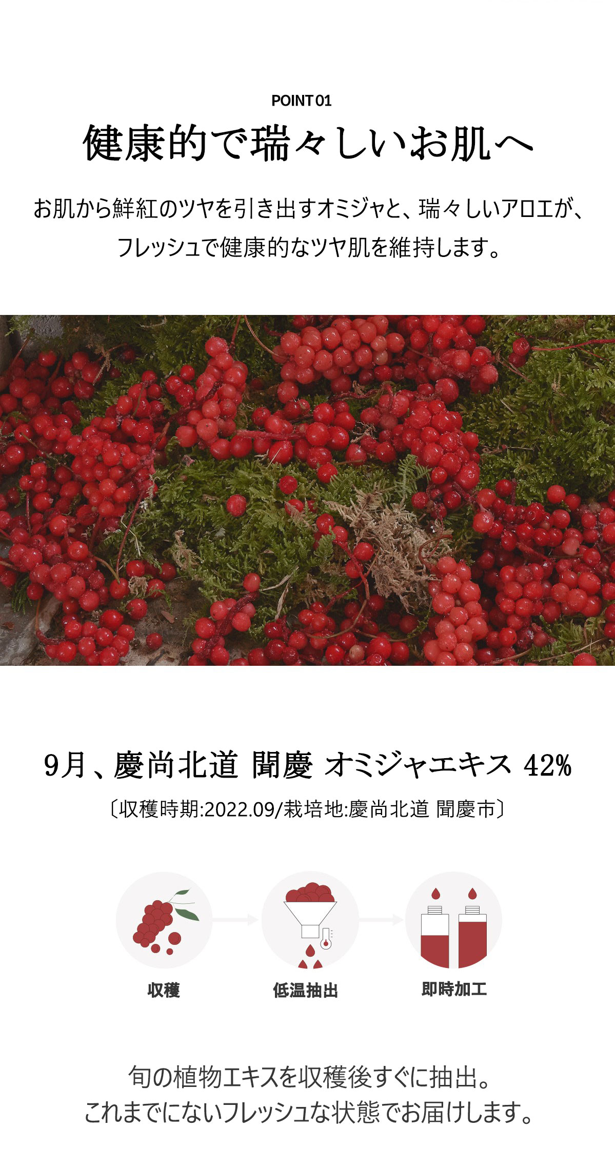 健康的で瑞々しいお肌へ。旬のオミジャ果実エキス 。お肌から鮮紅のツヤを引き出すオミジャと、瑞々しいアロエが、フレッシュで健康的なツヤ肌の維持をサポートします。