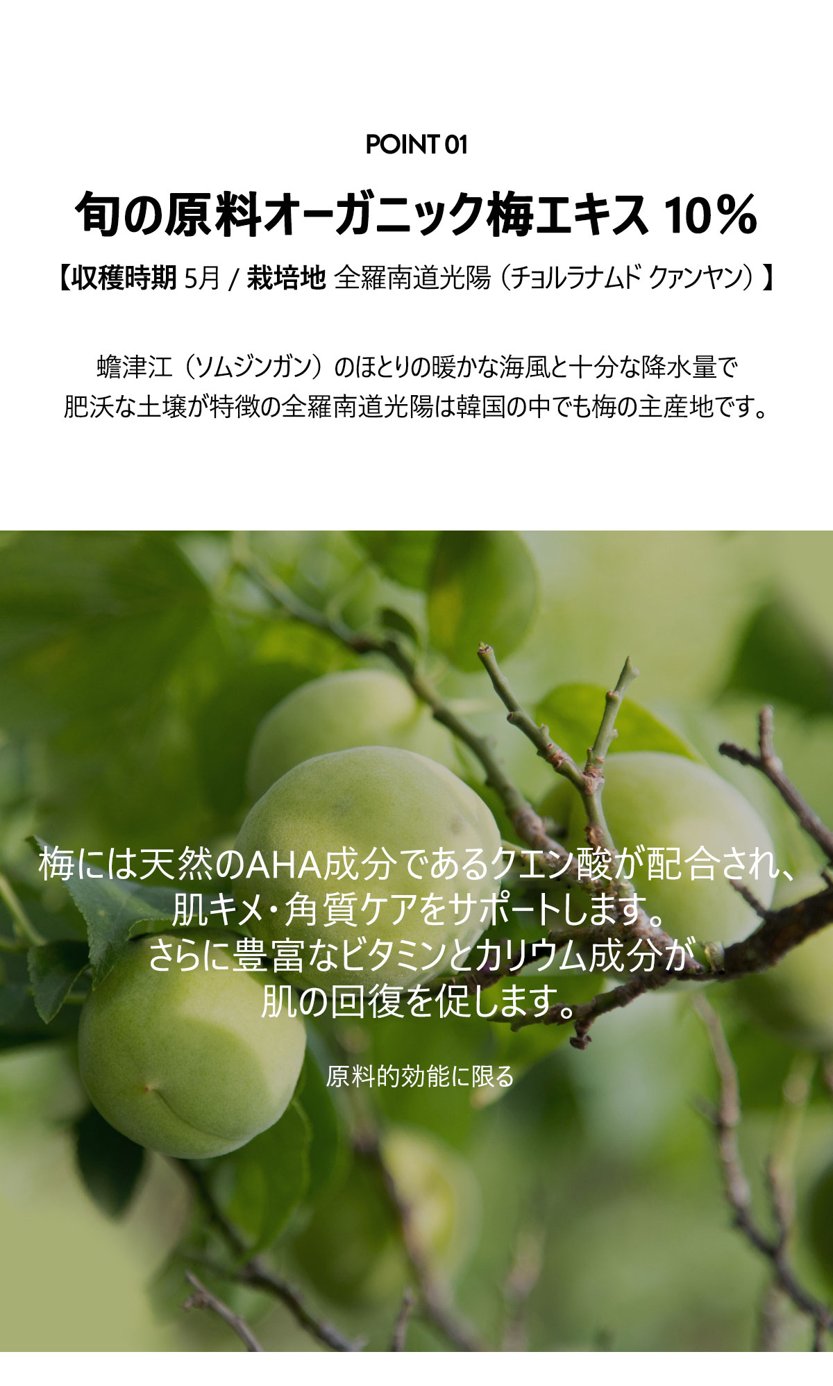 POINT01
旬の原料オーガニック梅エキス 10％
[収穫時期 2022.05 / 栽培地 全羅南道光陽（チョルラナムド クァンヤン）]
蟾津江（ソムジンガン）のほとりの暖かな海風と十分な降水量で
肥沃な土壌が特徴の全羅南道光陽は韓国の中でも梅の主産地です。
梅には天然のAHA成分であるクエン酸が配合され、
肌キメ・角質ケアをサポートします。
さらに豊富なビタミンとカリウム成分が肌の回復を促します。
原料の効能に限る

