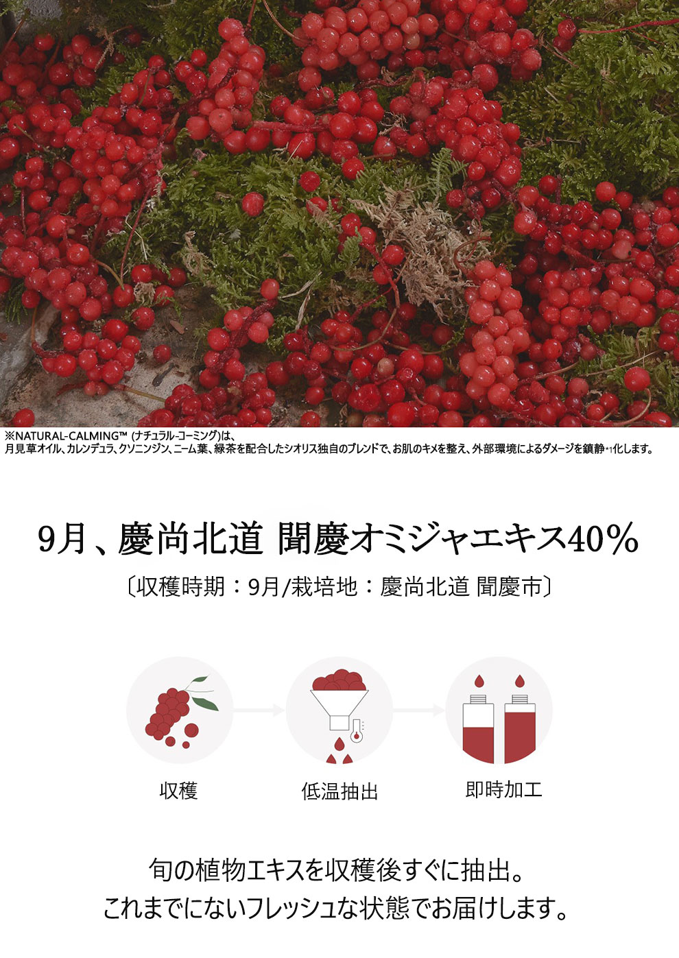 オミジャ果実とNATURAL-CALMING™※との配合バランスは、
お肌のゆらぎを安らぎへと導き、鮮紅な輝きを引き出します。