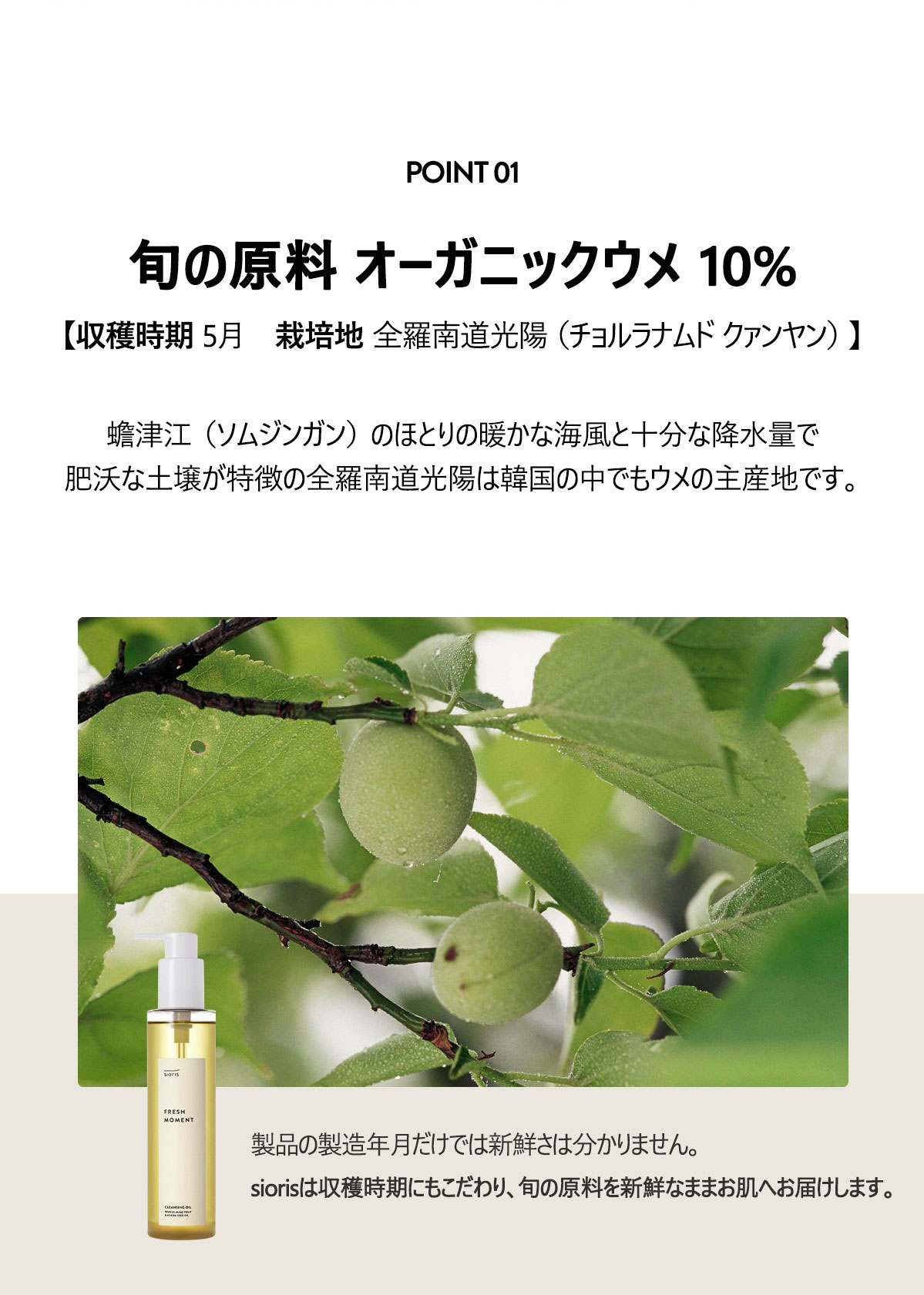 POINT01
旬の原料オーガニックウメオイル 10％
[収穫時期 2022.05 / 栽培地 全羅南道光陽（チョルラナムド クァンヤン）]
蟾津江（ソムジンガン）のほとりの暖かな海風と十分な降水量で
肥沃な土壌が特徴の全羅南道光陽は韓国の中でもウメの主産地です。
製品の製造年月だけでは新鮮さは分かりません。
siorisは収穫時期にもこだわり、旬の原料を新鮮なままお肌へお届けします。
