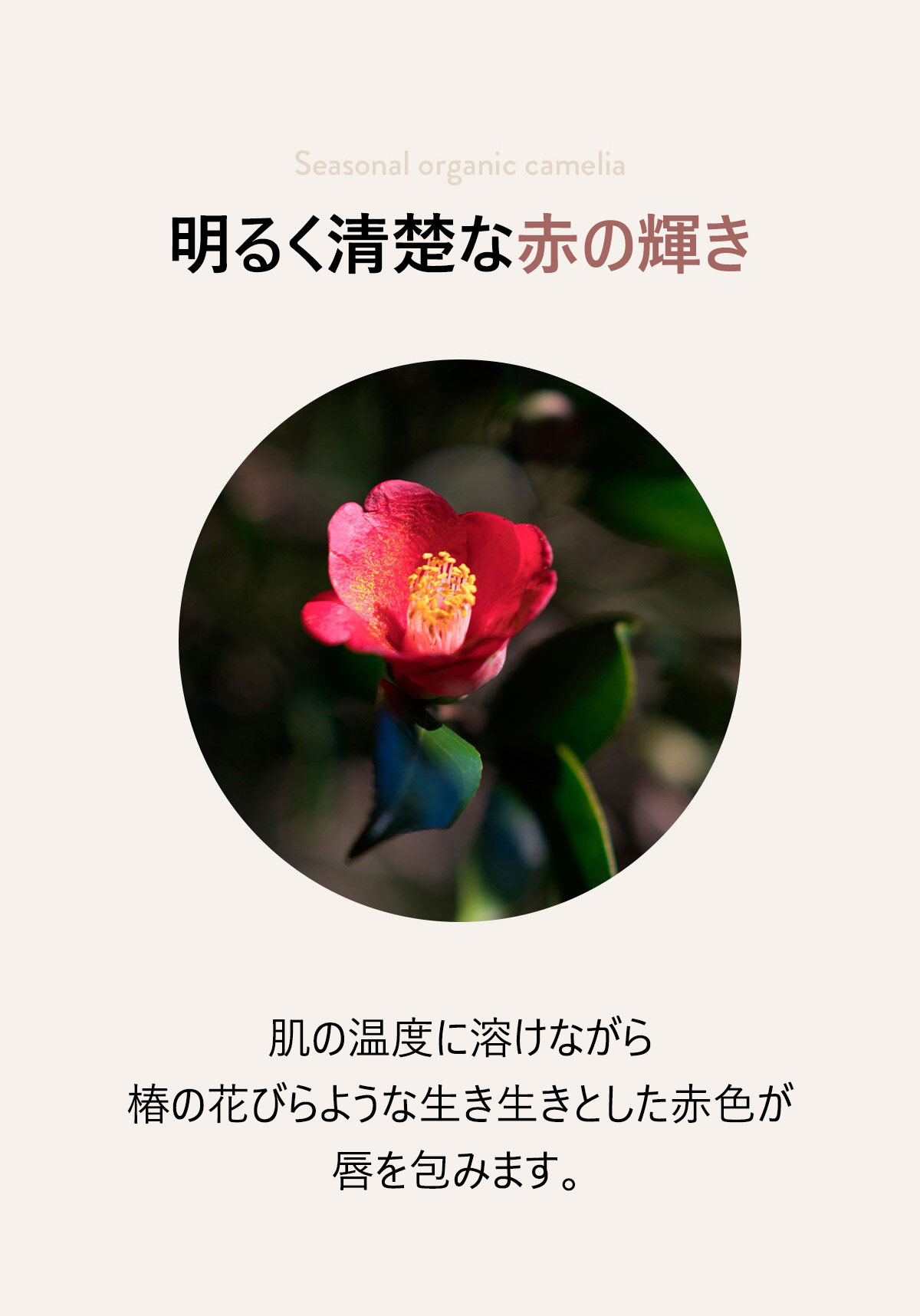 明るく清楚な赤の輝き
肌の温度に溶けながら
椿の花びらような生き生きとした赤色が唇を包みます。
